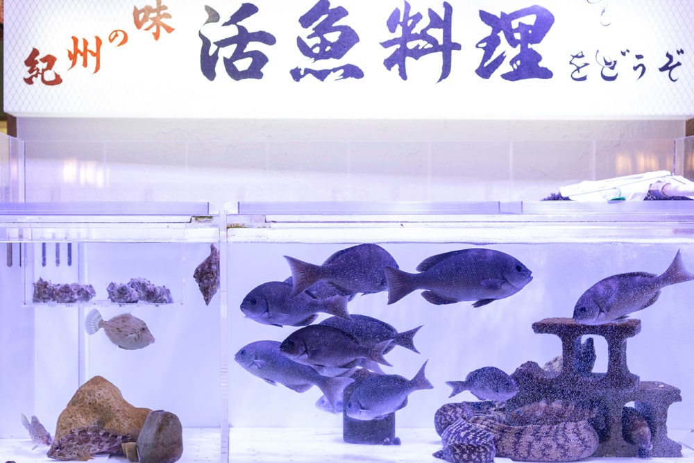 銀ちろ 会社概要